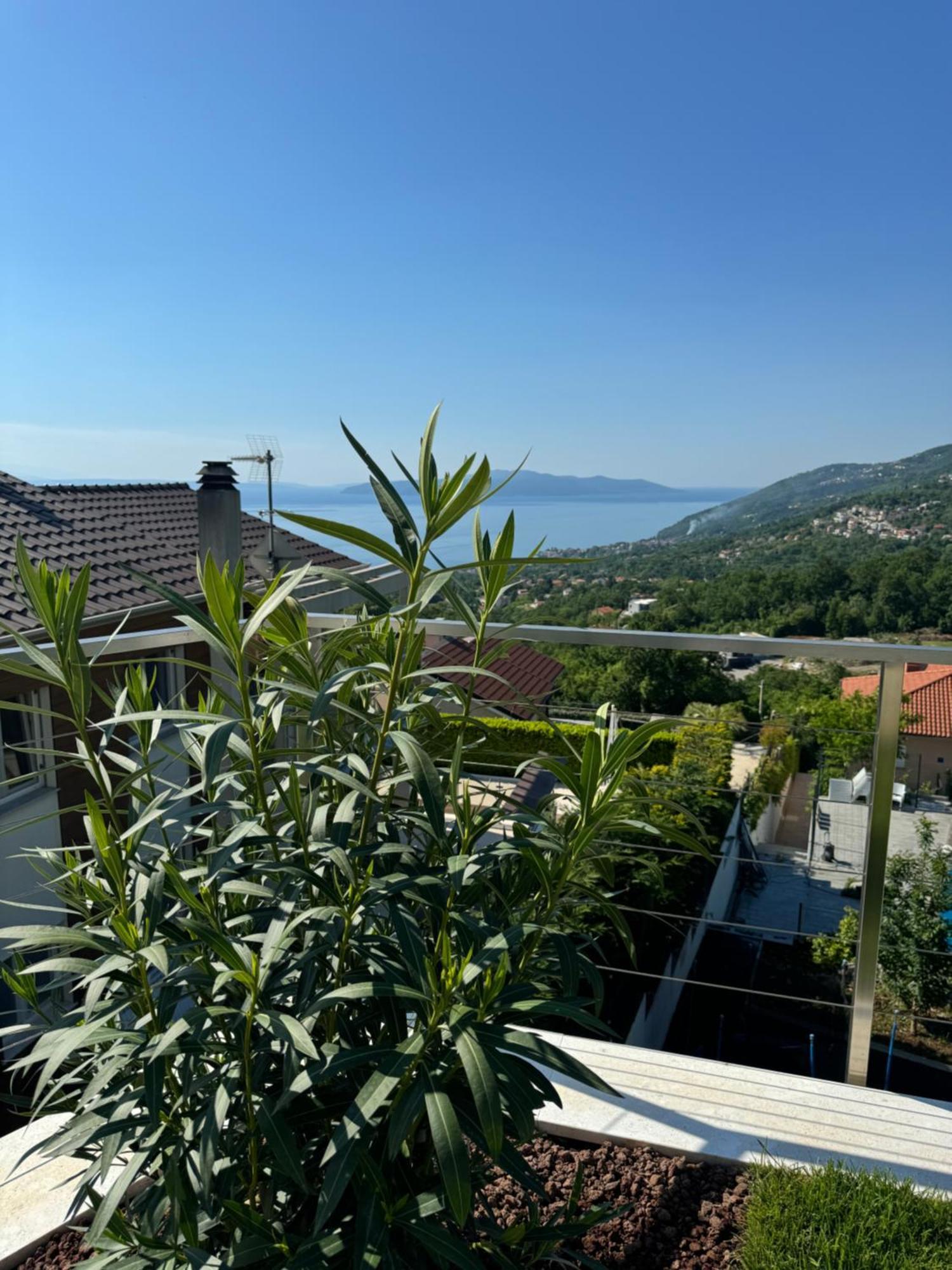 Villa Agapanthus Veprinac