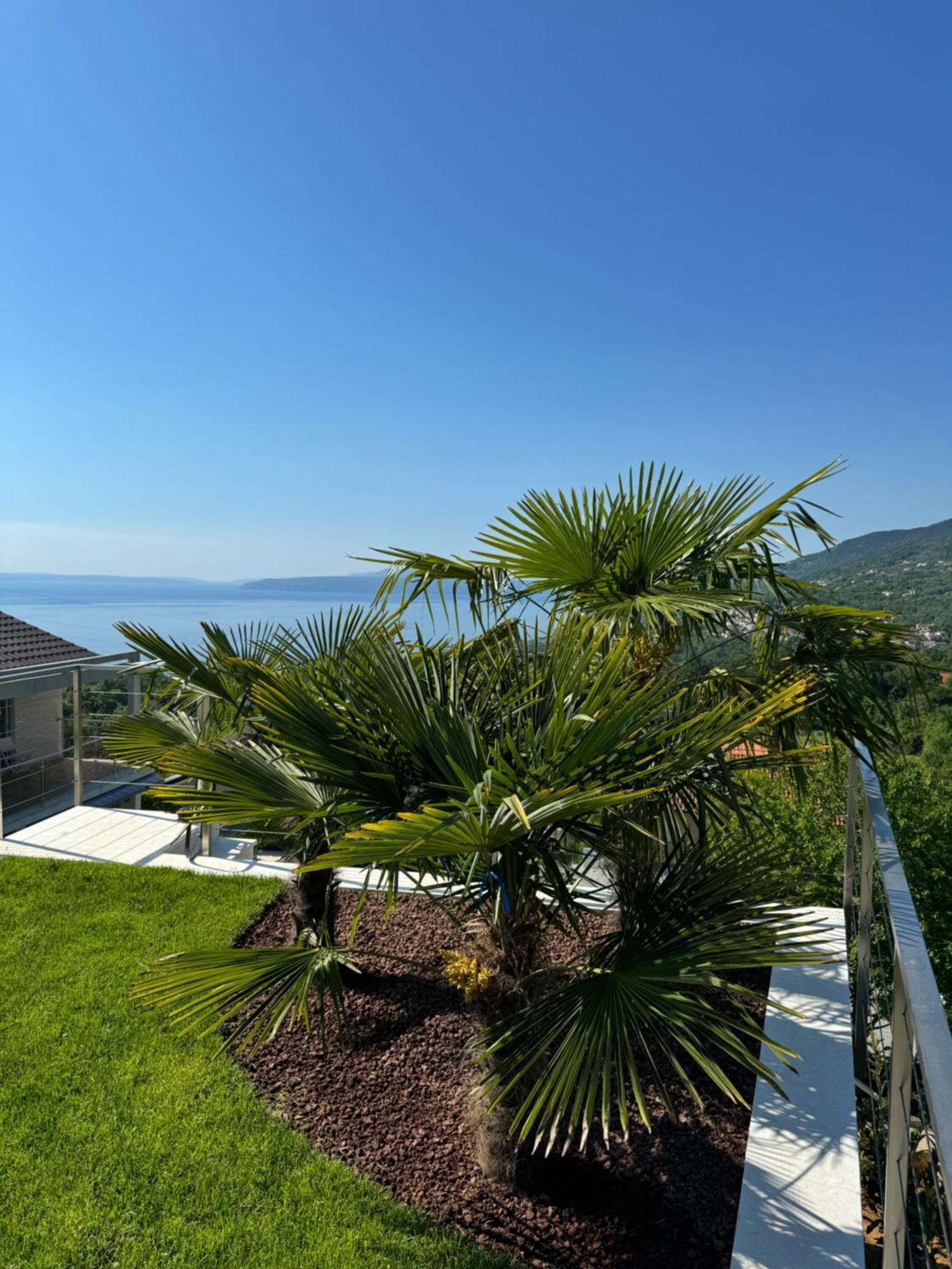 Villa Agapanthus