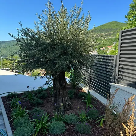 Villa Agapanthus Veprinac Exterior photo