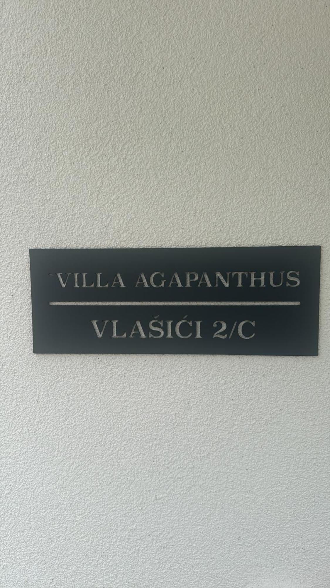 Agapanthus Villa